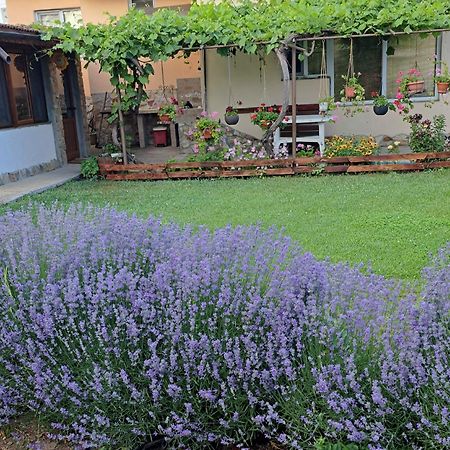 שבלה Guest House Sunrise מראה חיצוני תמונה